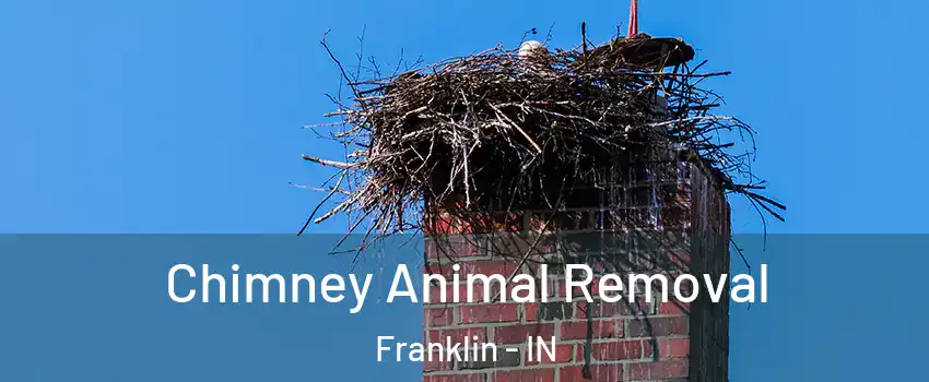 Chimney Animal Removal Franklin - IN