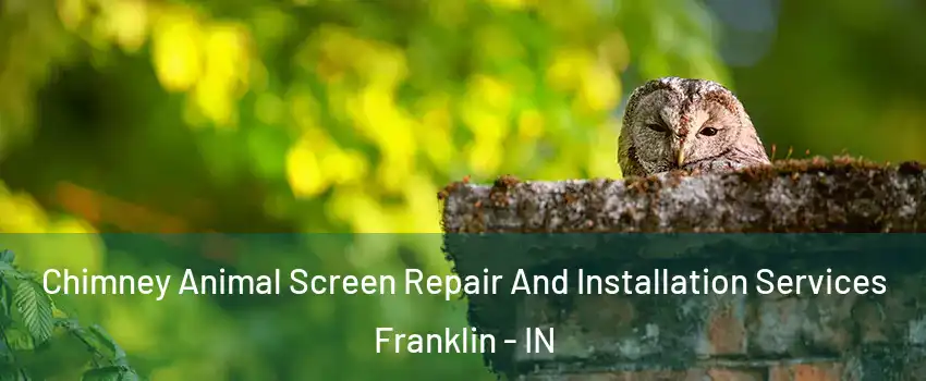  Chimney Animal Screen Repair And Installation Services Franklin - IN