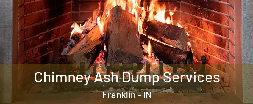  Chimney Ash Dump Services Franklin - IN