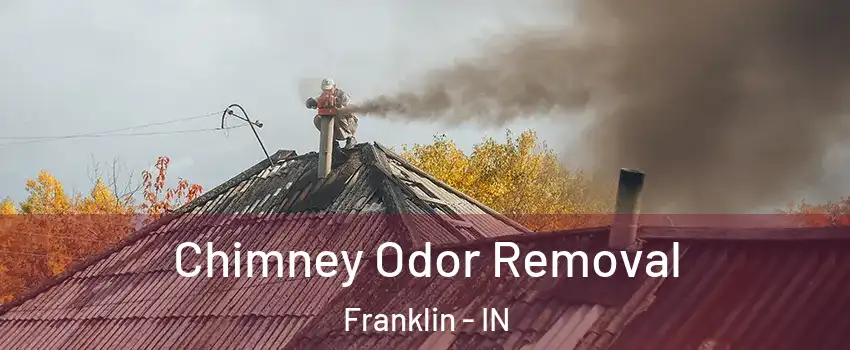 Chimney Odor Removal Franklin - IN