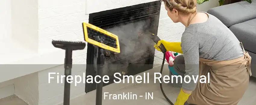  Fireplace Smell Removal Franklin - IN