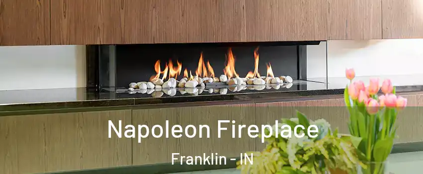  Napoleon Fireplace Franklin - IN